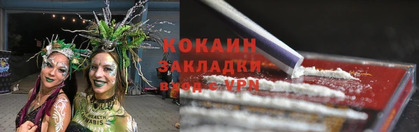 трава Гусев