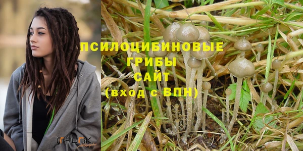 трава Гусев
