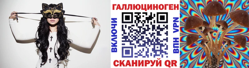 Псилоцибиновые грибы MAGIC MUSHROOMS Куйбышев