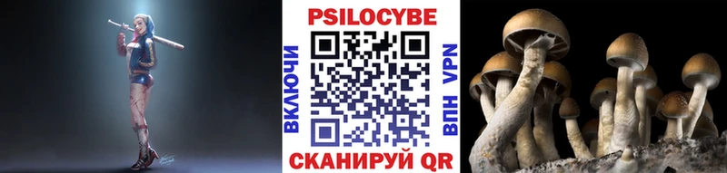 Купить где  Куйбышев  Галлюциногенные грибы мухоморы 