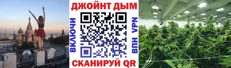 Купить где  Куйбышев  Бошки Шишки SATIVA & INDICA 